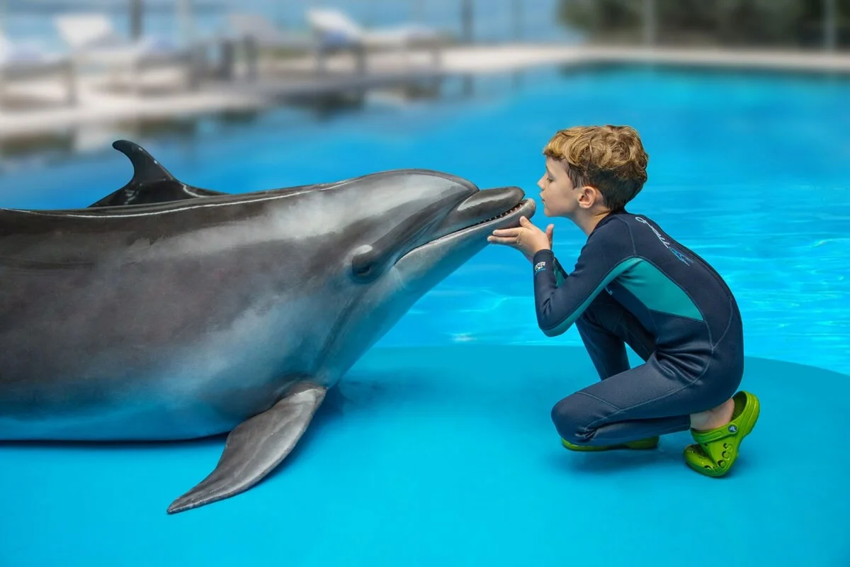 Meet and Greet a Dolphin