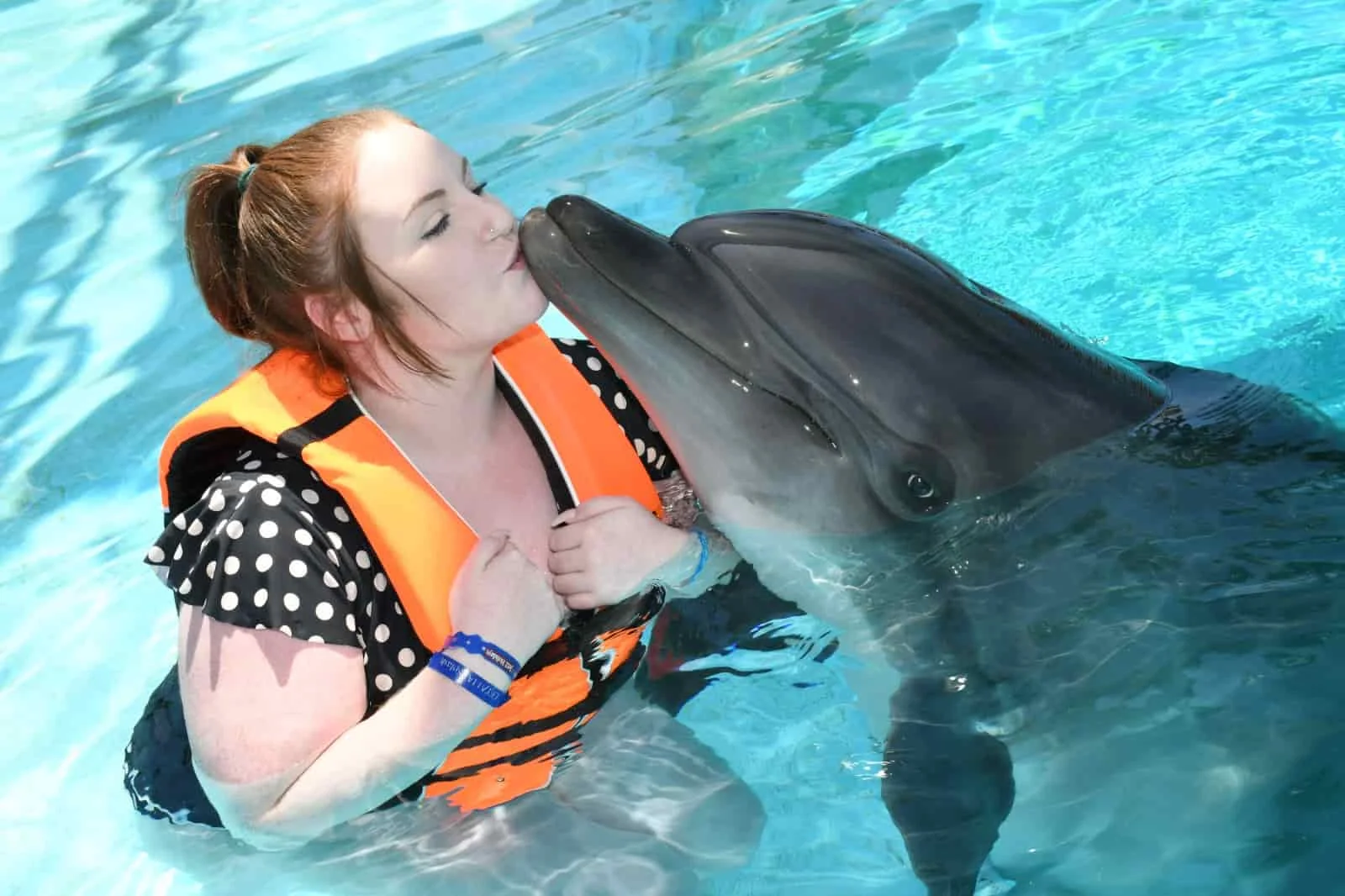 Swim with Dolphins