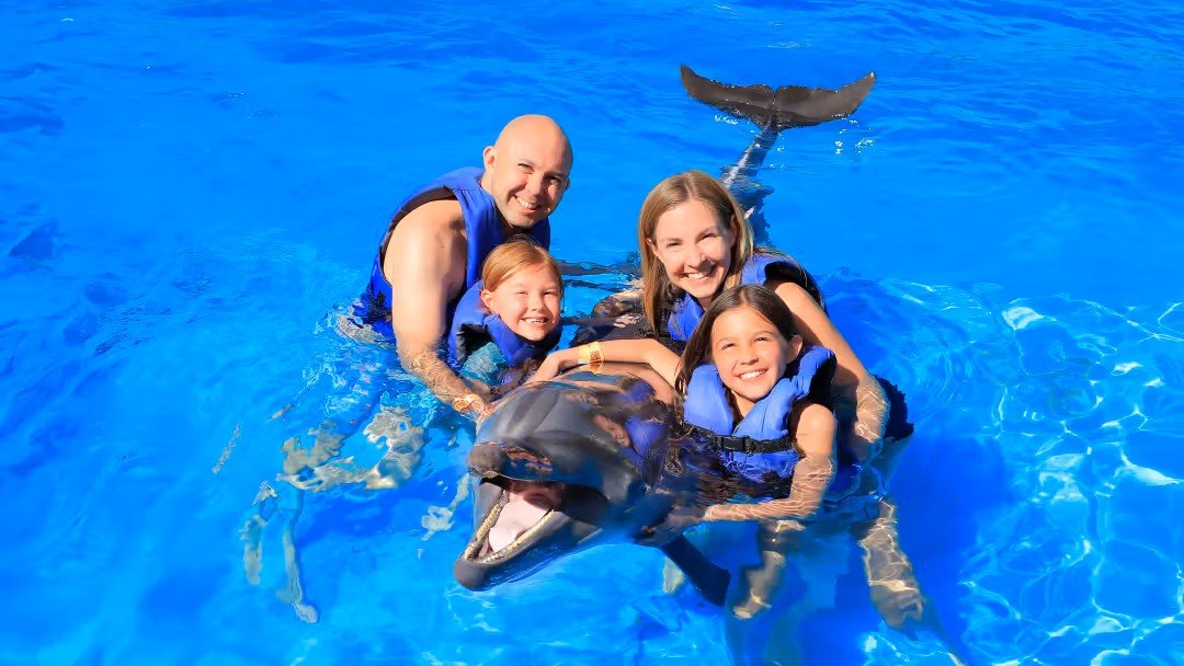 Kemer Dolphin Swimming Experience | Two-Way Hotel Transfer Included