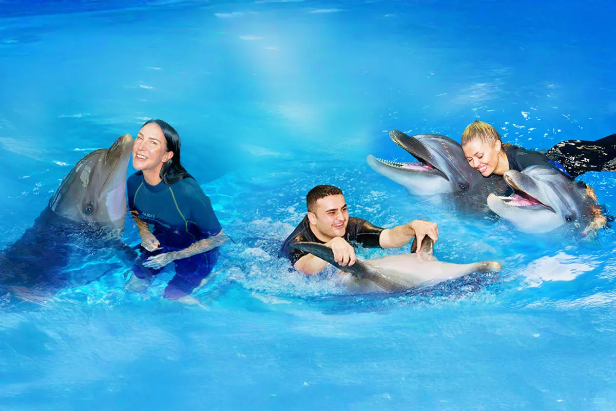 Kemer Dolphin Show & Dolphin Swim Experience | Round-Trip Transfer Included